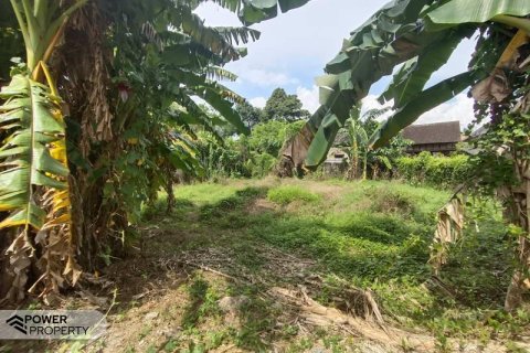 400m2 Land in Tabanan, Indonesia No. 13323 7