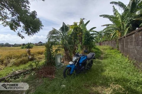 400m2 Land in Tabanan, Indonesia No. 13323 12