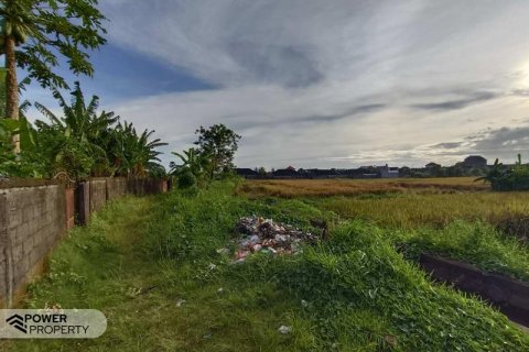 400m2 Land in Tabanan, Indonesia No. 13323 26