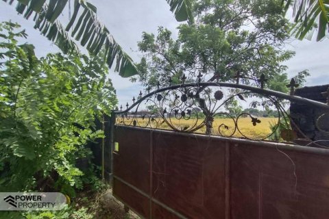 400m2 Land in Tabanan, Indonesia No. 13323 4