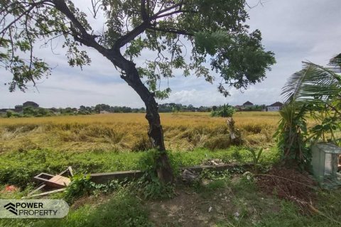 400m2 Land in Tabanan, Indonesia No. 13323 11