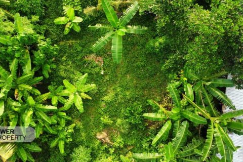 400m2 Land in Tabanan, Indonesia No. 13323 24