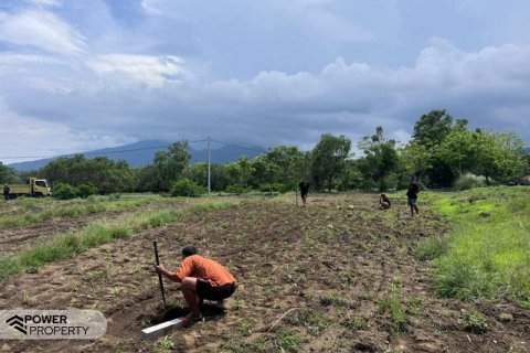 500m2 Land in Karangasem, Karang Asem, Indonesia No. 13322 3