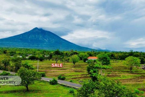 500m2 Land in Karangasem, Karang Asem, Indonesia No. 13322 7