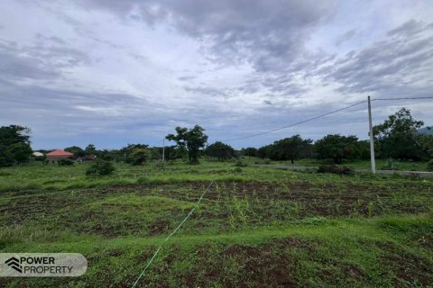 500m2 Land in Karangasem, Karang Asem, Indonesia No. 13322 11