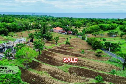 500m2 Land in Karangasem, Karang Asem, Indonesia No. 13322 10