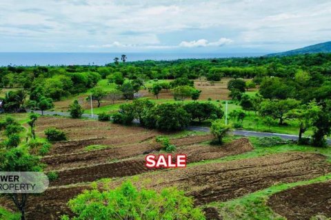 500m2 Land in Karangasem, Karang Asem, Indonesia No. 13322 6