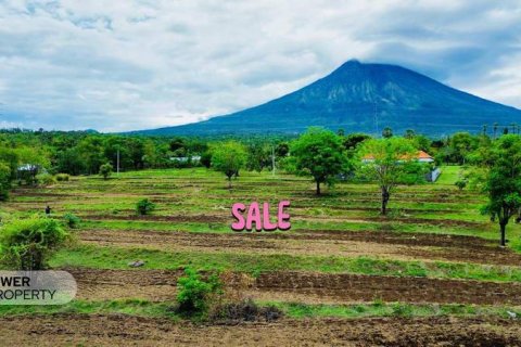 500m2 Land in Karangasem, Karang Asem, Indonesia No. 13322 4
