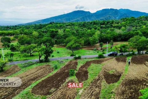500m2 Land in Karangasem, Karang Asem, Indonesia No. 13322 2