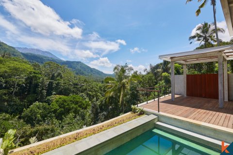 13 bedrooms Villa in Karangasem, Karang Asem, Indonesia No. 11599 14