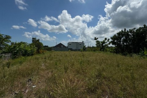 Земельный участок в Canggu, Бадунг, Индонезия № 11245 2