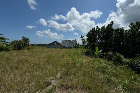 Земельный участок в Canggu, Бадунг, Индонезия № 11245 4