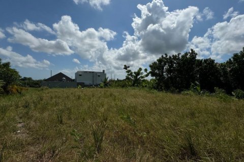 Земельный участок в Canggu, Бадунг, Индонезия № 11245 3