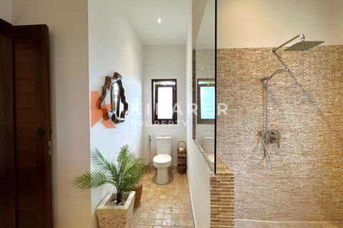 4 bedrooms Villa in Tibubeneng, Badung, Indonesia No. 11899 25