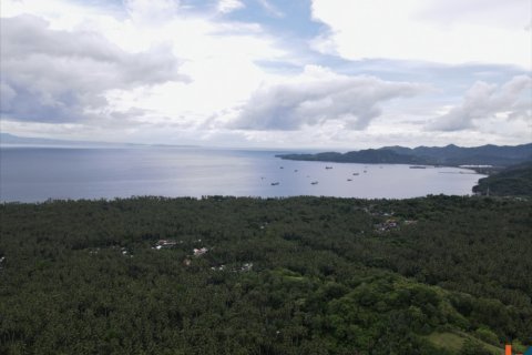 Земельный участок в Karangasem, Карангасем, Индонезия № 11595 6