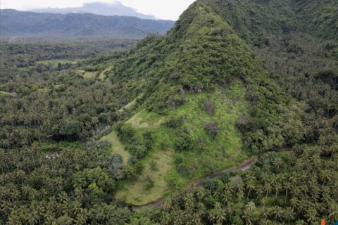 Земельный участок в Karangasem, Карангасем, Индонезия № 11595 7