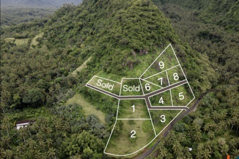 Land in Karangasem, Karang Asem, Indonesia No. 11596 7