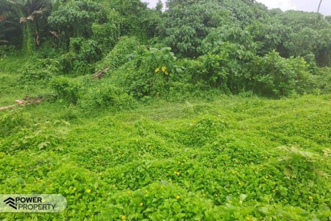 313m2 Land in Tabanan,  No. 9059 13