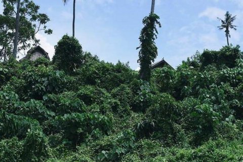 313m2 Land in Tabanan,  No. 9059 3