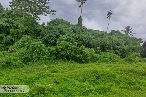 313m2 Land in Tabanan,  No. 9059 19