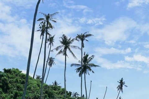 313m2 Land in Tabanan,  No. 9059 6