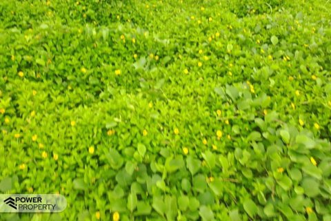 313m2 Land in Tabanan,  No. 9059 12