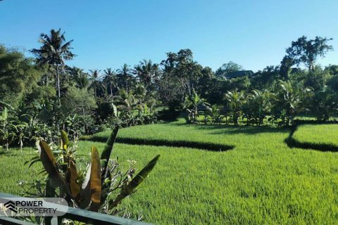 19 bedrooms Hotel in Ubud, Gianyar,  No. 9057 2