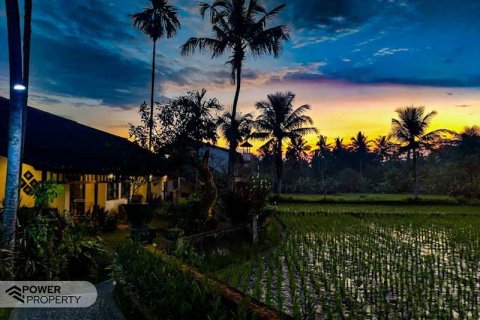 19 bedrooms Hotel in Ubud, Gianyar,  No. 9057 1