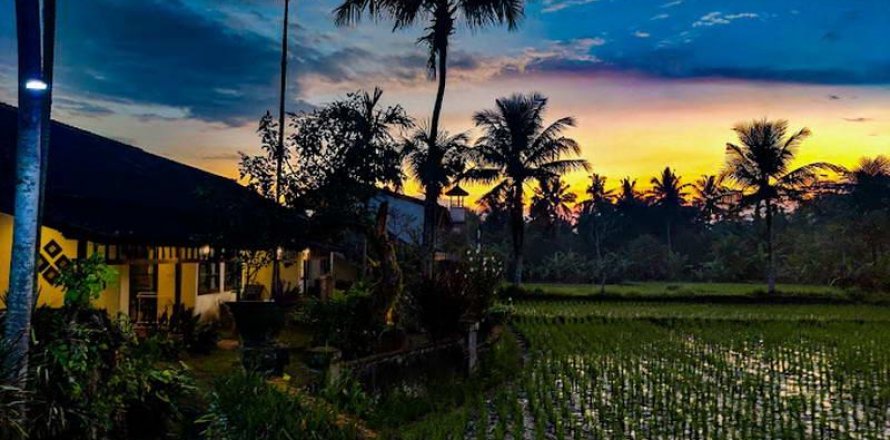 19 bedrooms Hotel in Ubud, Gianyar,  No. 9057