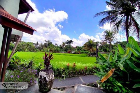 19 bedrooms Hotel in Ubud, Gianyar,  No. 9057 7