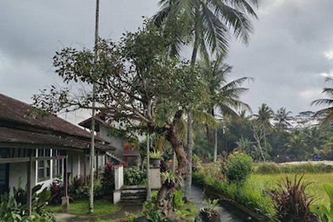 19 bedrooms Hotel in Ubud, Gianyar,  No. 9057 5