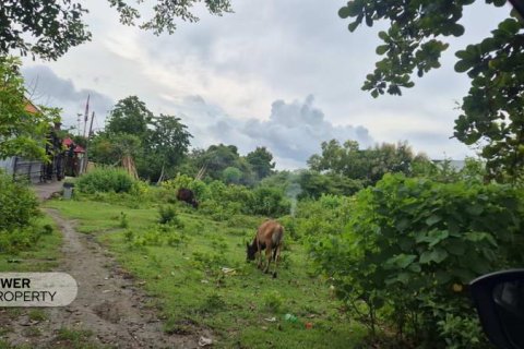 Земельный участок 10000м2 в Южная Кута, Бадунг,  № 9542