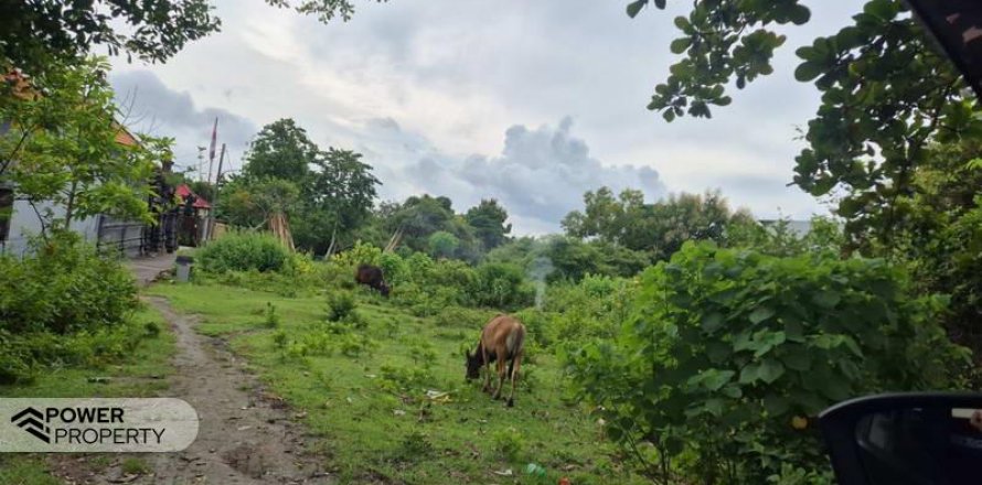 Земельный участок 10000м2 в Южная Кута, Бадунг, № 9542