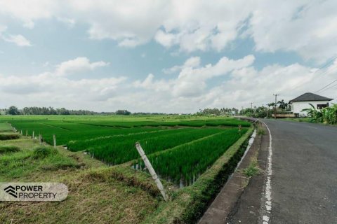 3 bedrooms Villa in Tabanan,  No. 9033 30