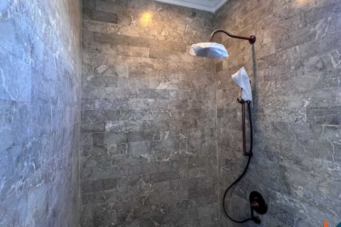 Вилла с 3 спальнями в Бадунг, Индонезия № 11144 13