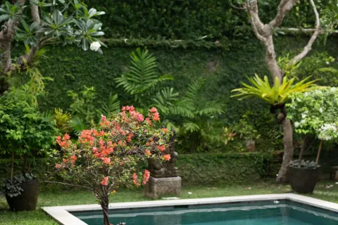 2 bedrooms Villa in Pererenan, Mengwi, Badung, Indonesia No. 10577 5