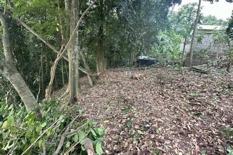 1204m2 Land in Tabanan,  No. 9017 13