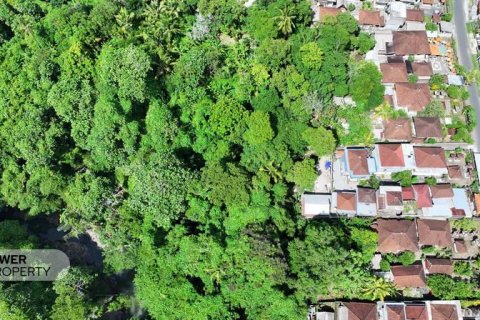 1204m2 Land in Tabanan,  No. 9017 1