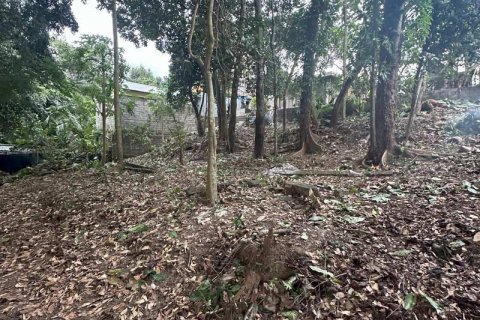 1204m2 Land in Tabanan,  No. 9017 12