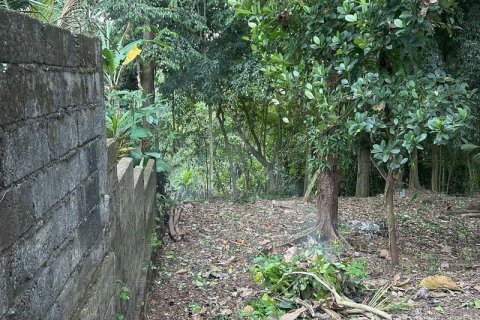1204m2 Land in Tabanan,  No. 9017 14