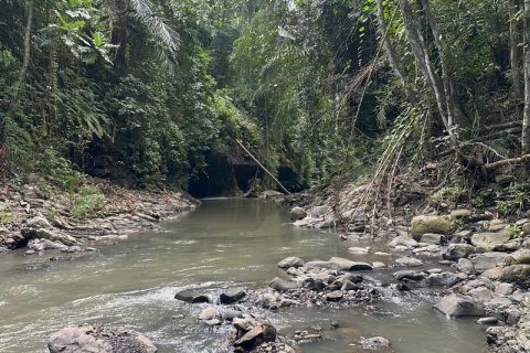 1204m2 Land in Tabanan,  No. 9017 20