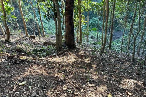 1204m2 Land in Tabanan,  No. 9017 7