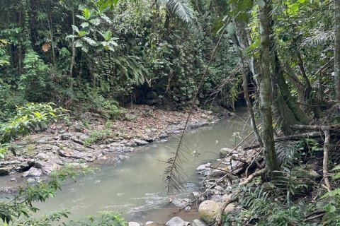 1204m2 Land in Tabanan,  No. 9017 21