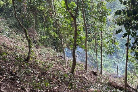 1204m2 Land in Tabanan,  No. 9017 10