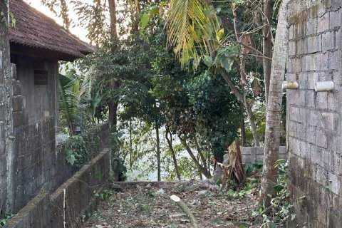 1204m2 Land in Tabanan,  No. 9017 3
