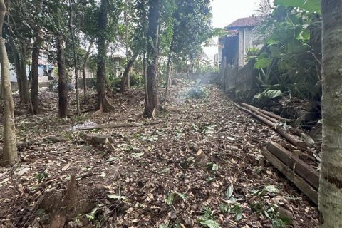 1204m2 Land in Tabanan,  No. 9017 11