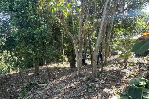 1204m2 Land in Tabanan,  No. 9017 9