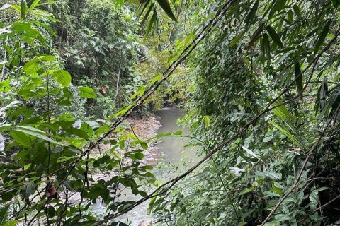 1204m2 Land in Tabanan,  No. 9017 16