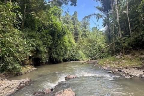 1204m2 Land in Tabanan,  No. 9017 19