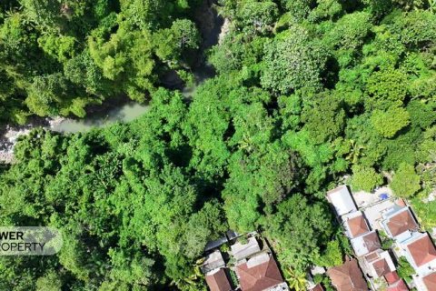 1204m2 Land in Tabanan,  No. 9017 22